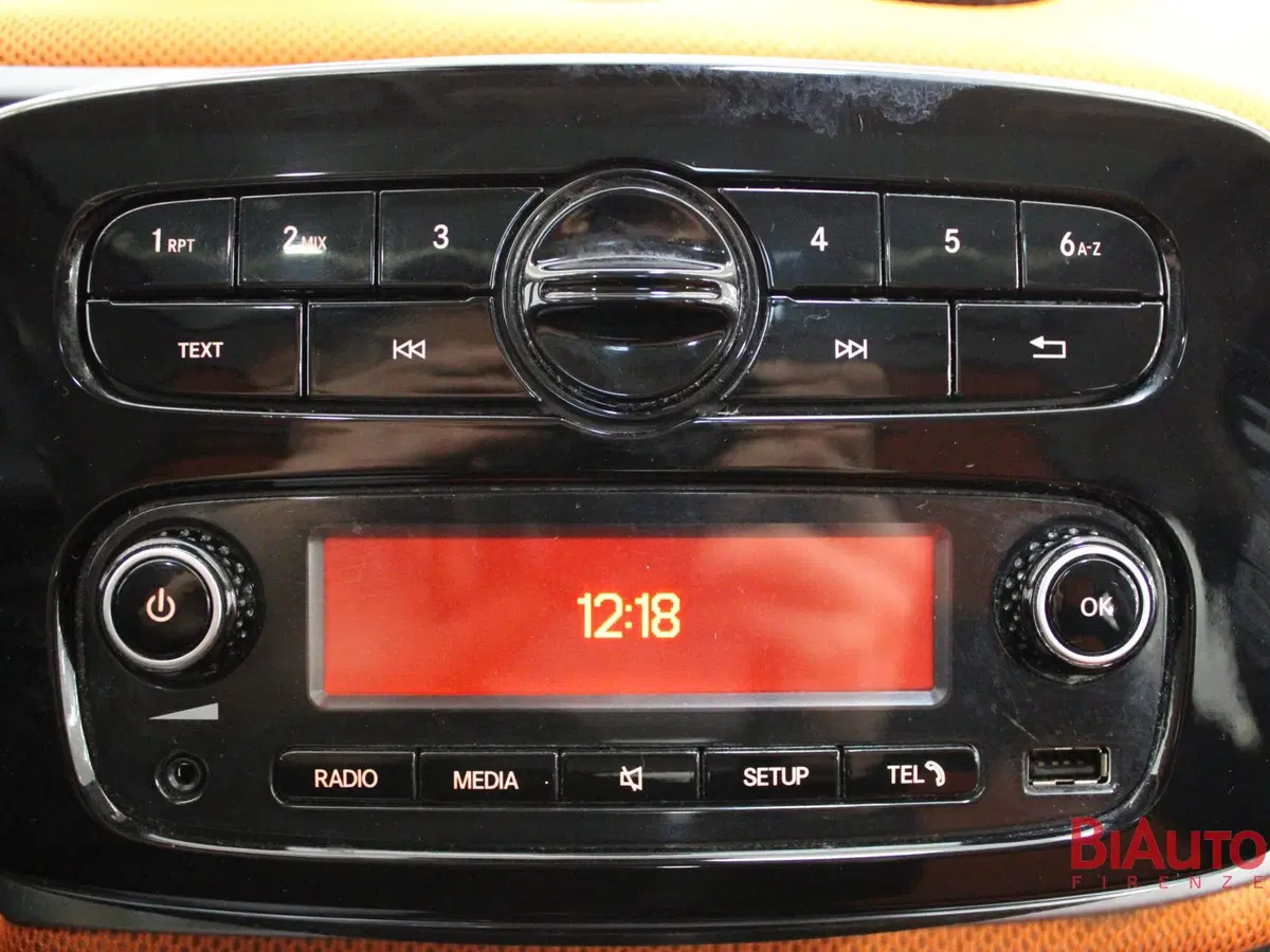 smart forfour usata a Firenze (12)