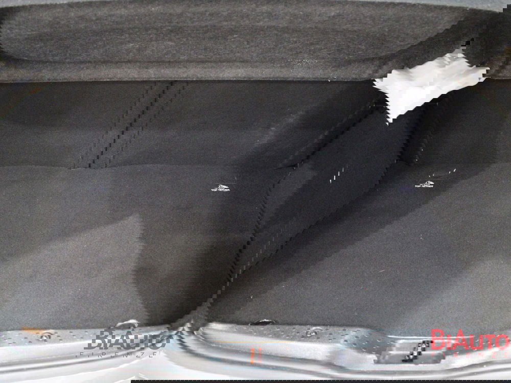 smart forfour usata a Firenze (8)