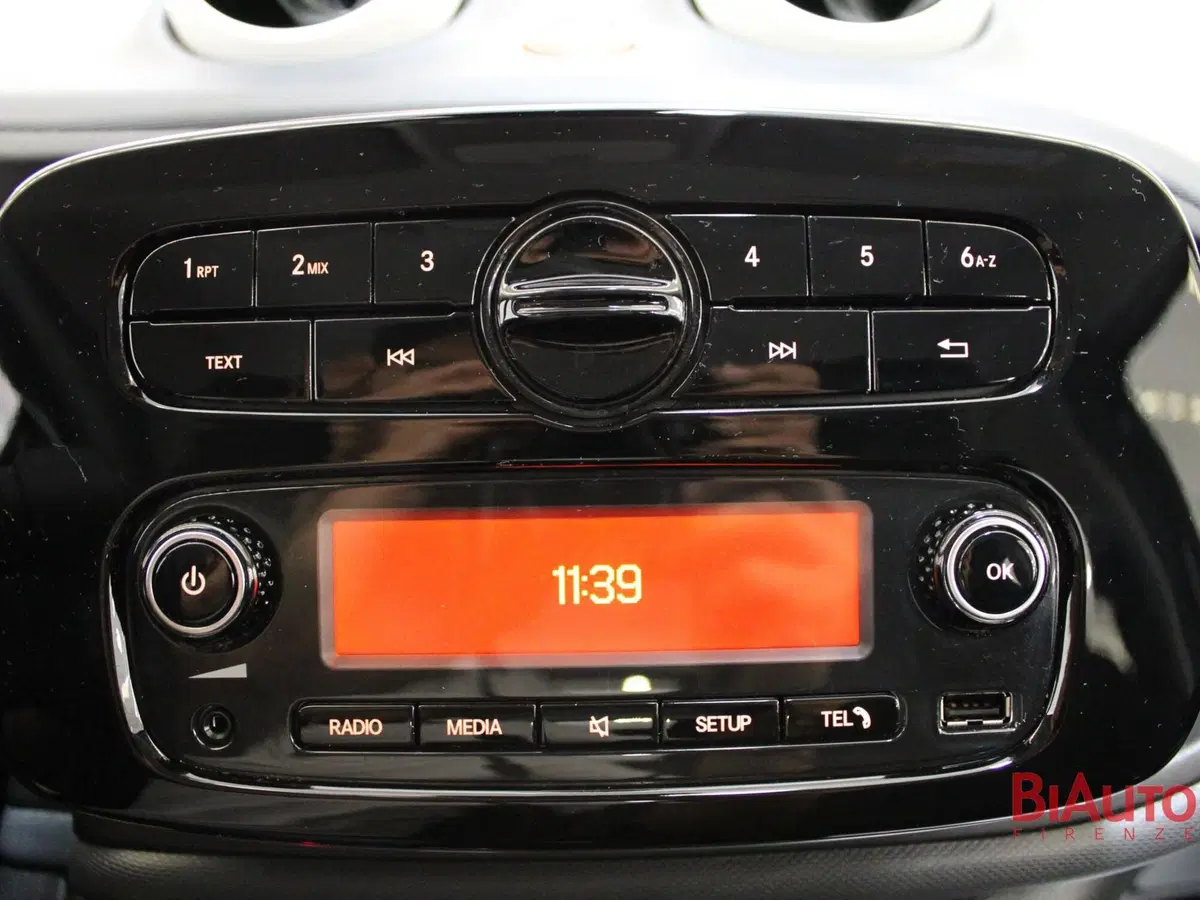 smart forfour usata a Firenze (12)