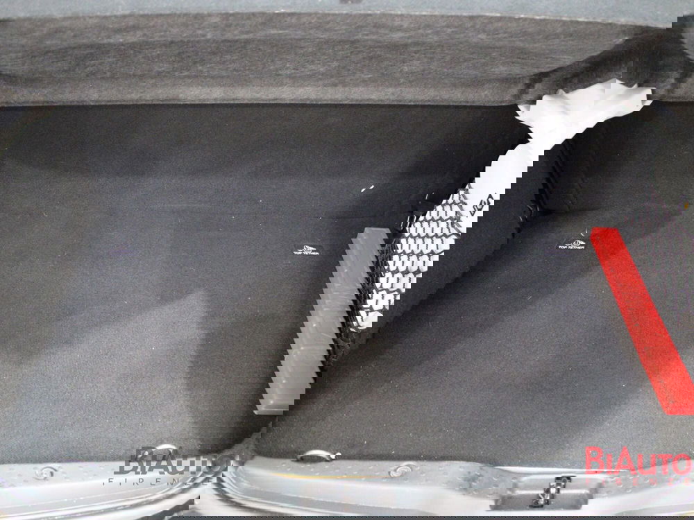 smart forfour usata a Firenze (8)