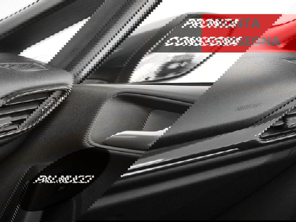 Ford Fiesta usata a Prato (10)