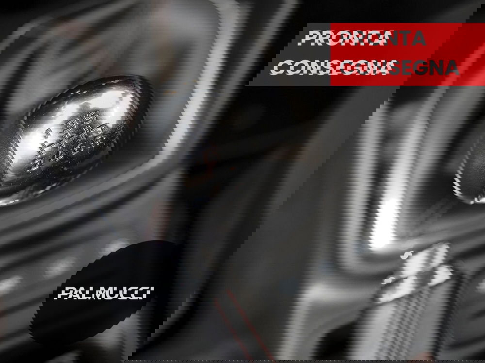 Ford Fiesta usata a Prato (11)