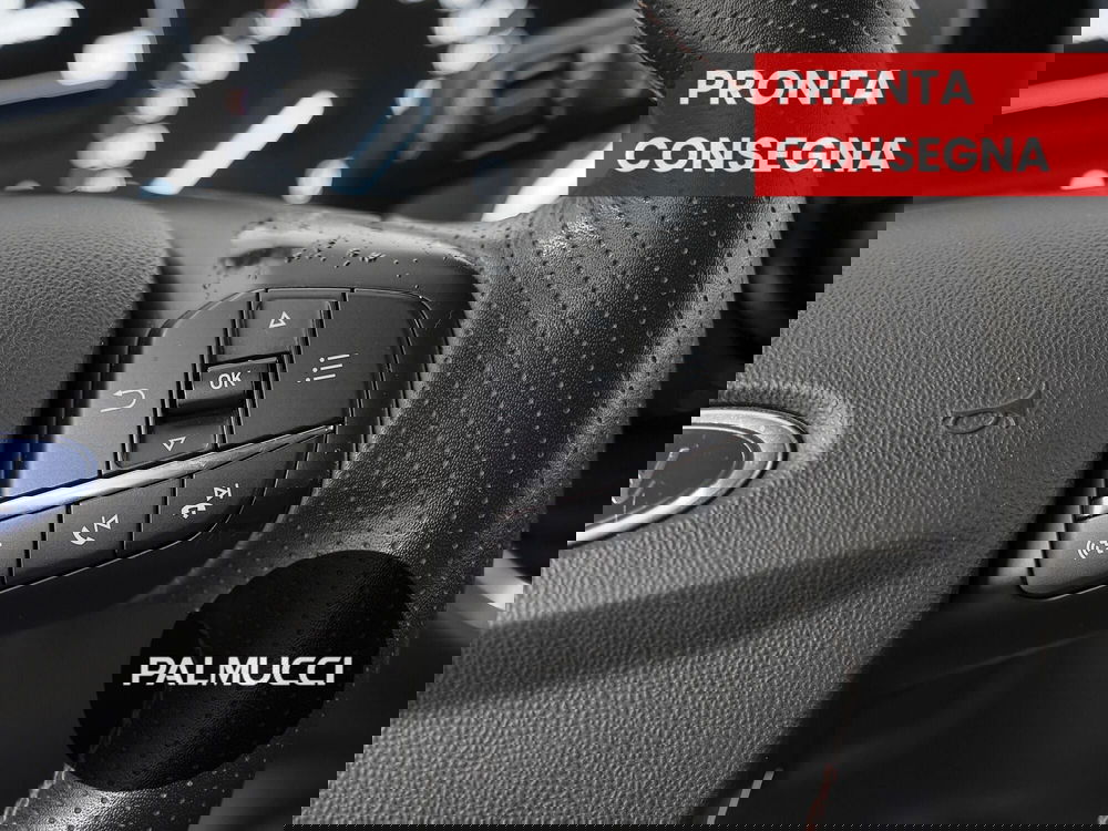 Ford Fiesta usata a Prato (12)