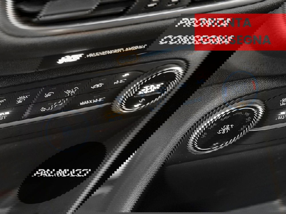 Ford Fiesta usata a Prato (13)