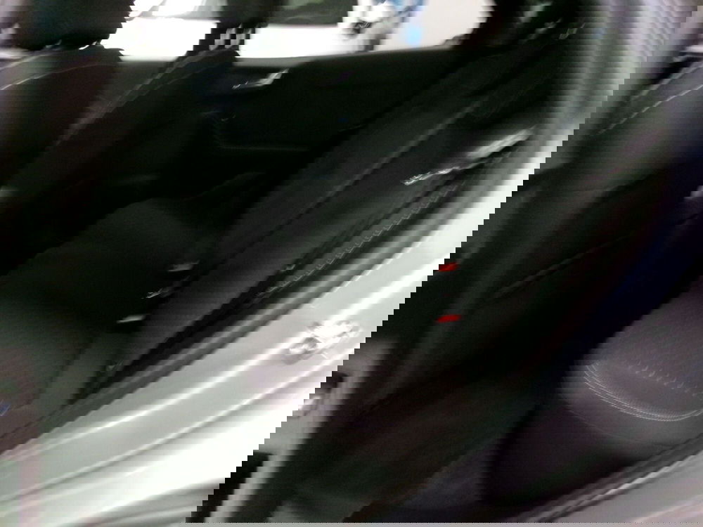 Ford Puma usata a Venezia (10)