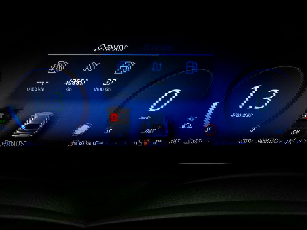 Ford Puma usata a Venezia (7)