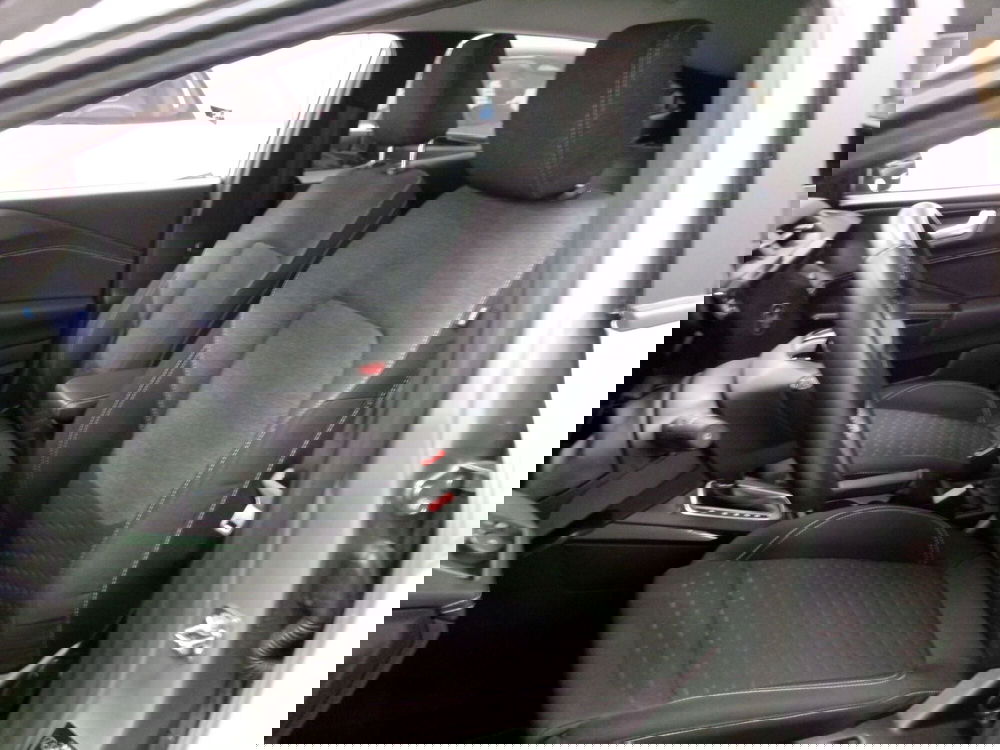 Ford Puma usata a Venezia (9)