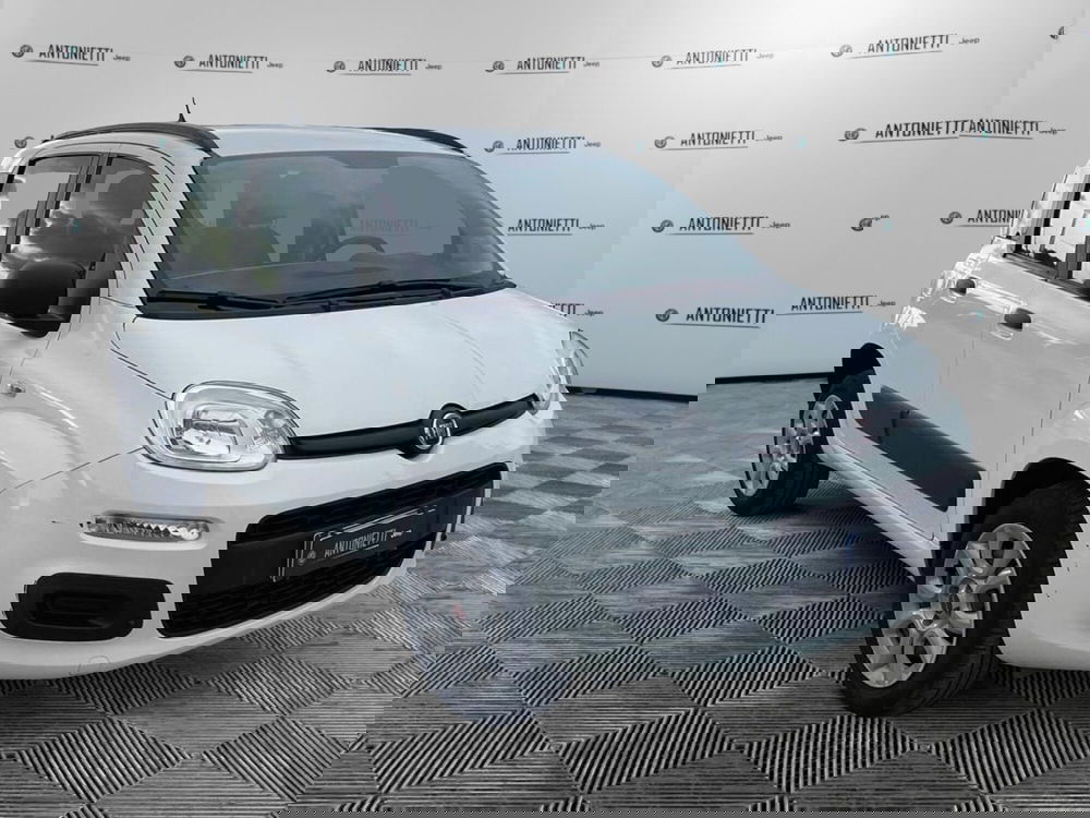 Fiat Panda usata a Ancona (3)