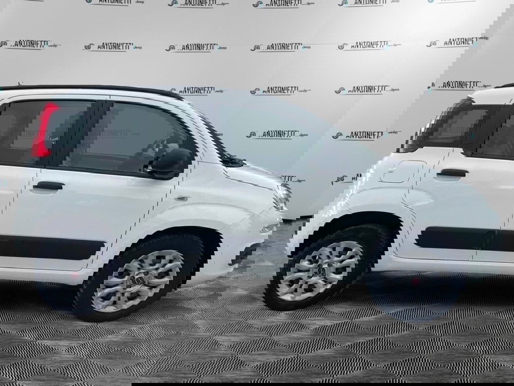 Fiat Panda usata a Ancona (4)