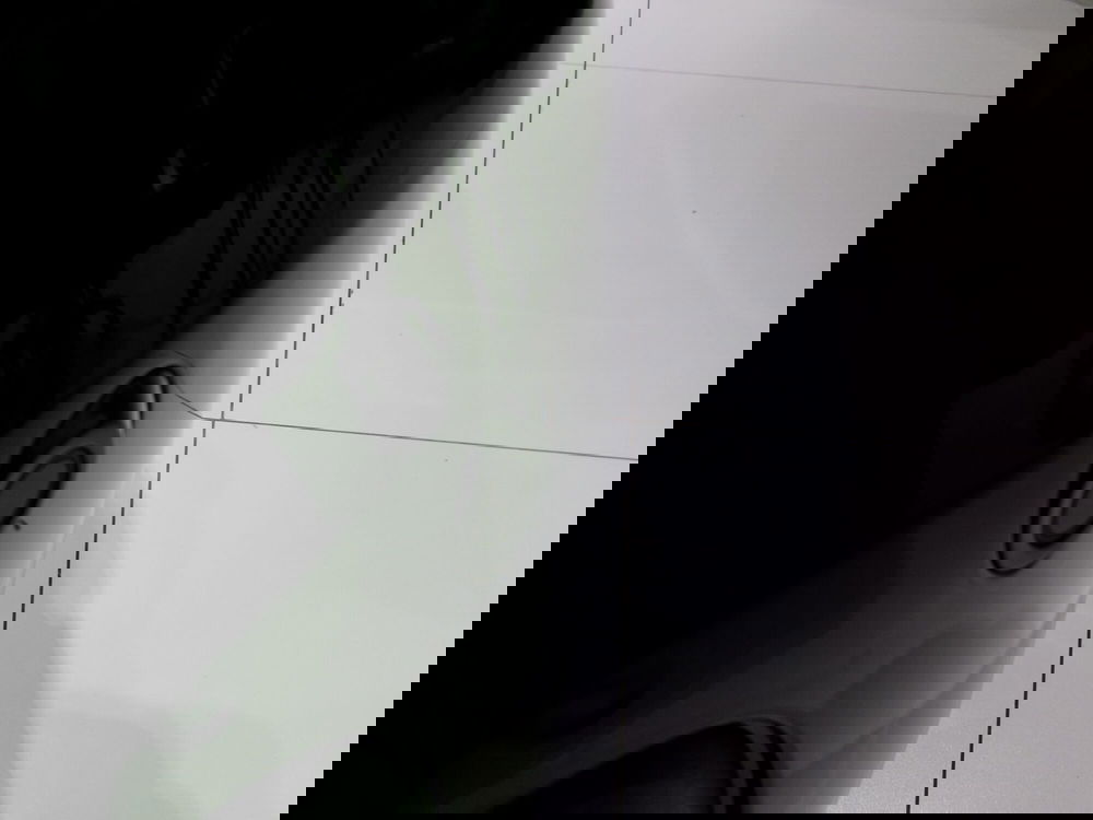 Fiat Panda Cross nuova a Venezia (15)