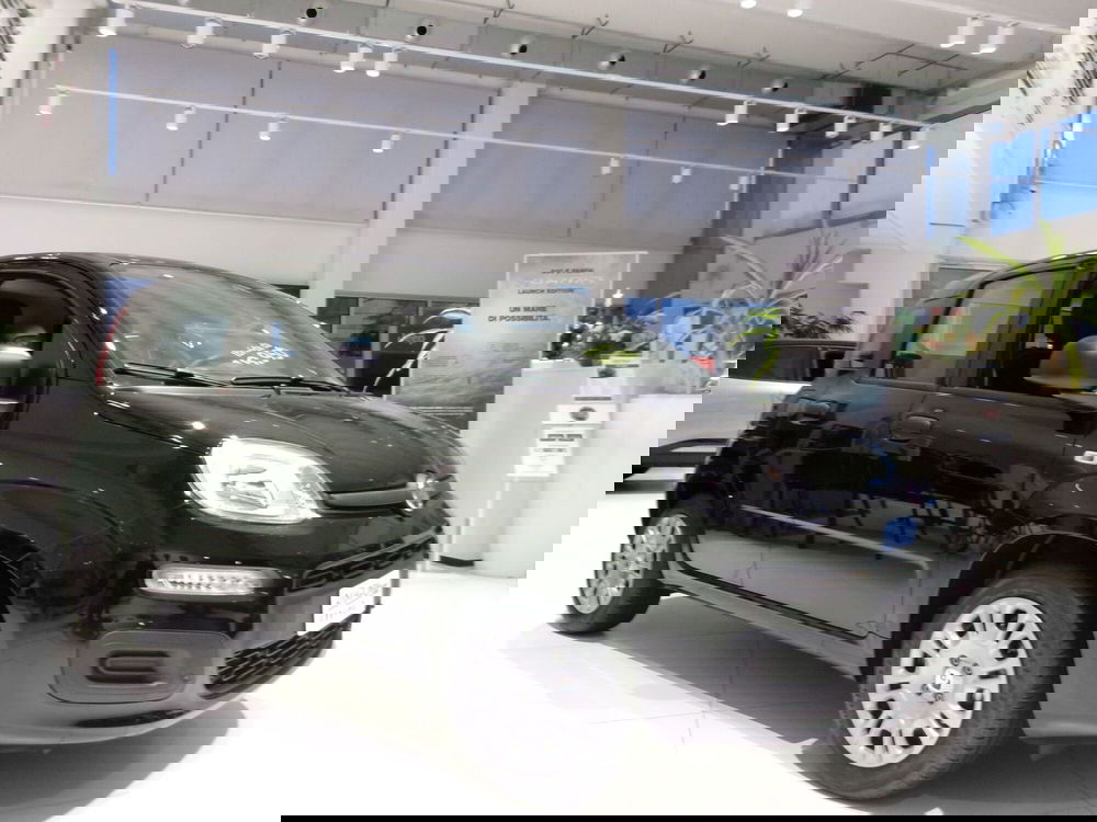 Fiat Panda Cross nuova a Venezia (5)