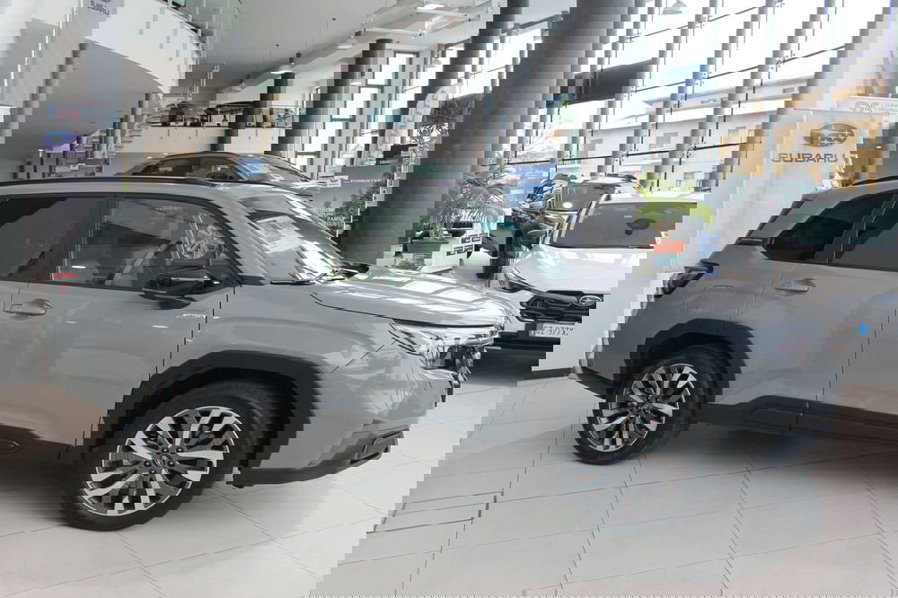 Subaru Forester usata a Cuneo (5)