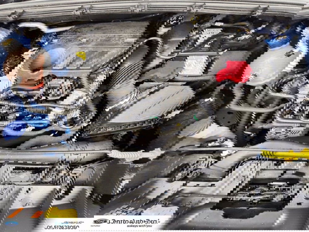 Ford Puma usata a Roma (12)