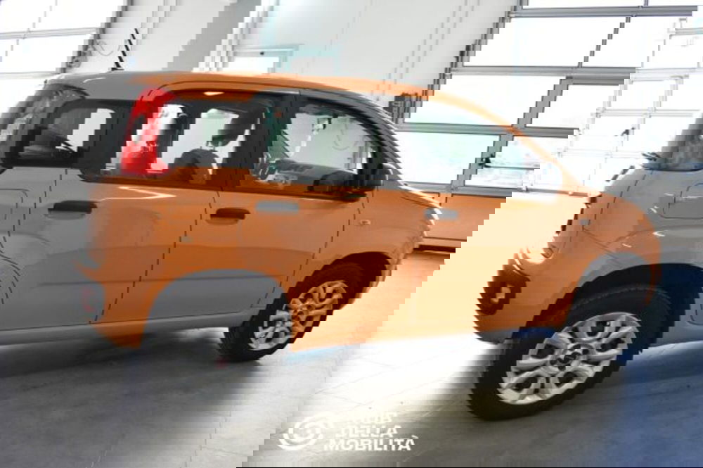 Fiat Panda usata a Perugia (6)