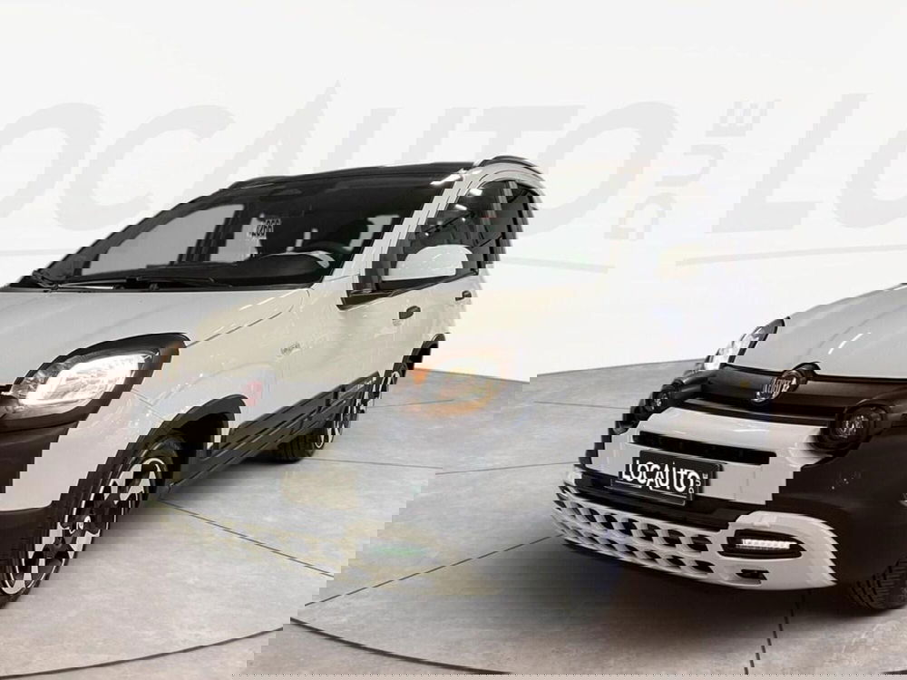 Fiat Pandina usata a Torino