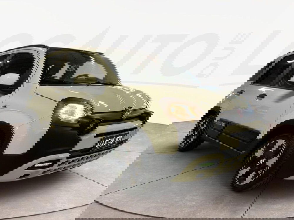 Fiat Pandina usata a Torino (3)