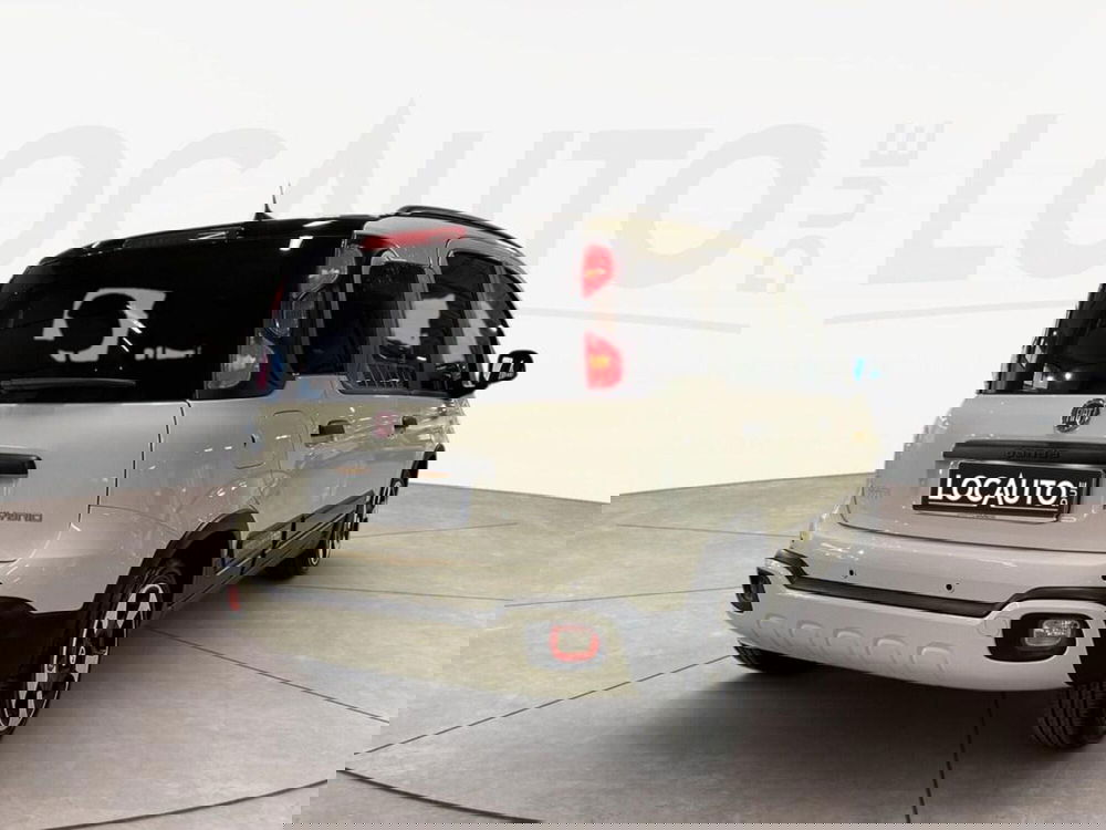 Fiat Pandina usata a Torino (4)