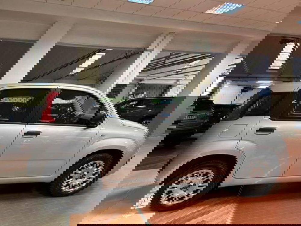 Fiat Panda usata a Vercelli (4)