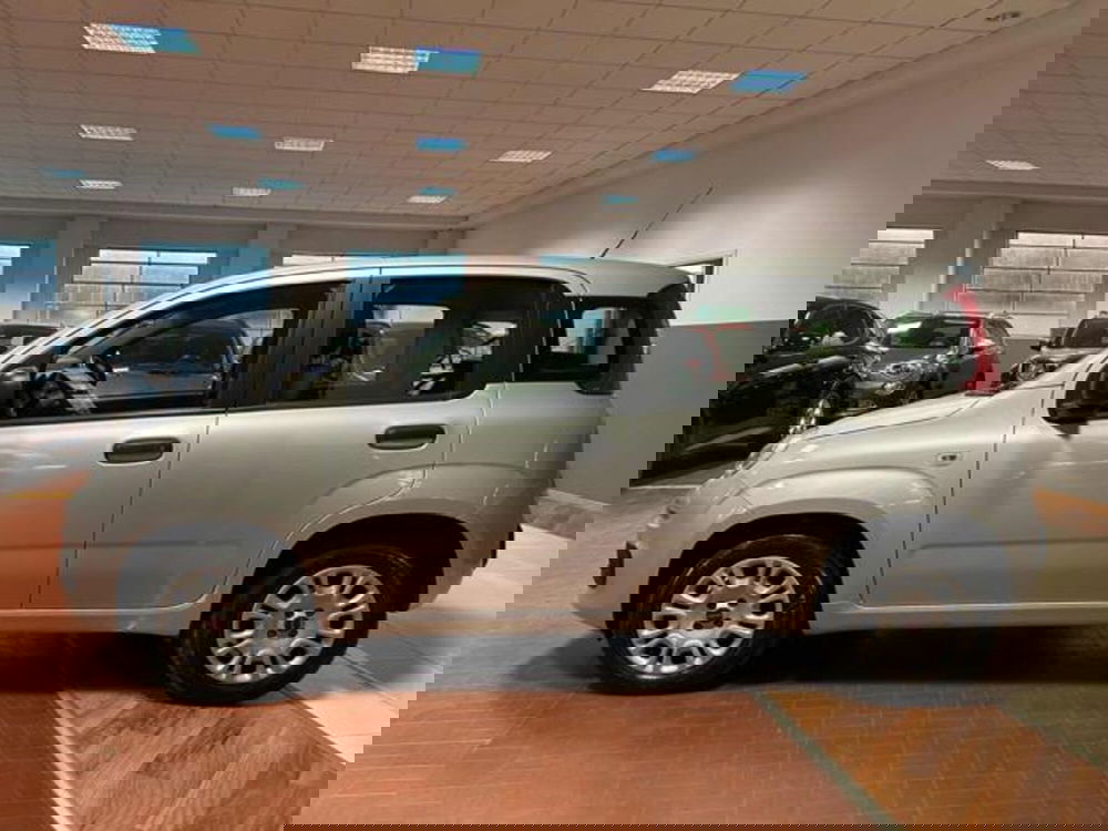 Fiat Panda usata a Vercelli (5)