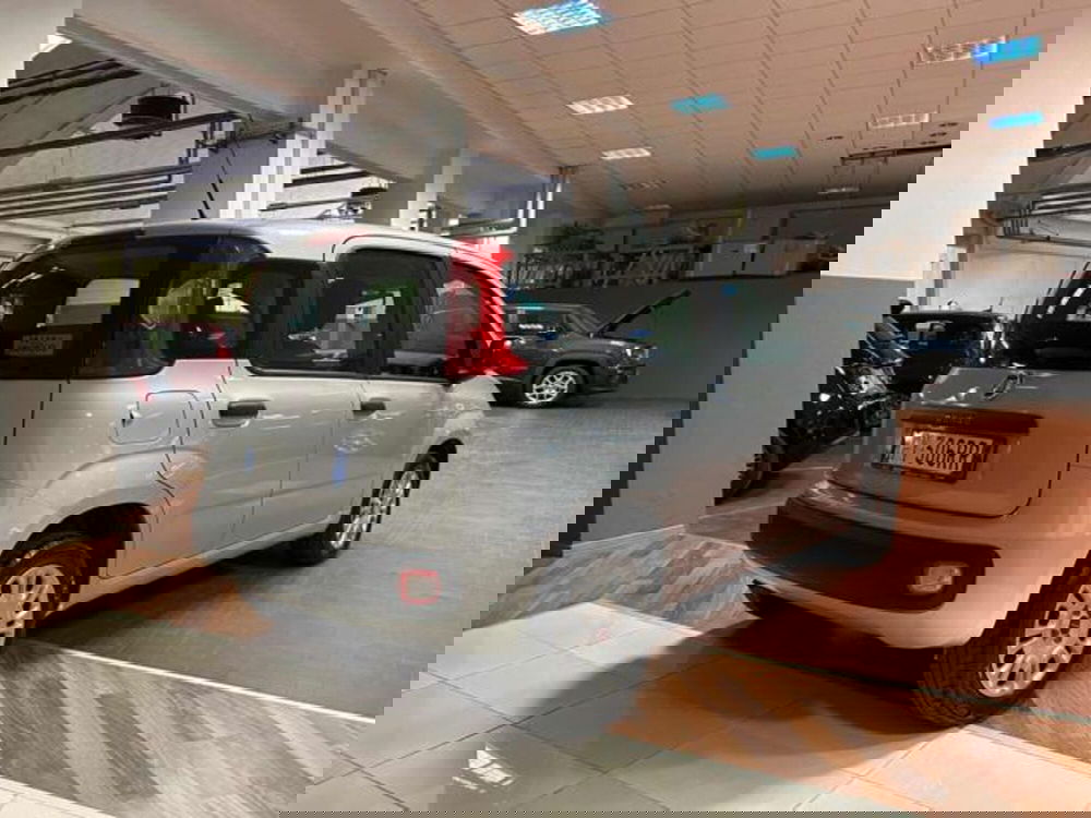 Fiat Panda usata a Vercelli (6)