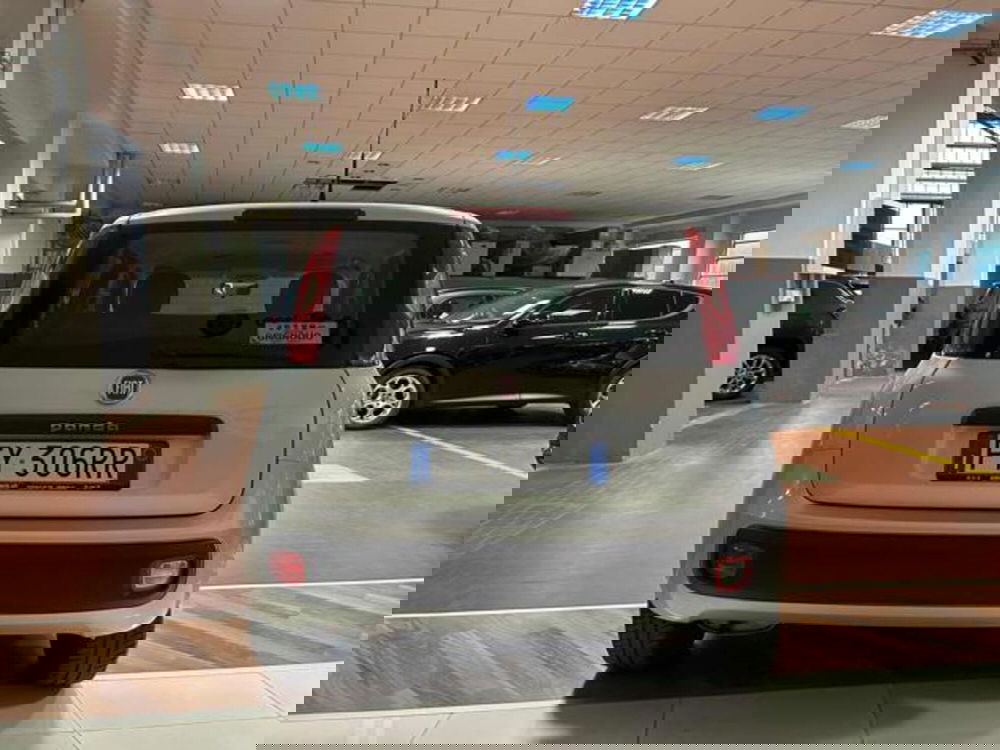 Fiat Panda usata a Vercelli (7)