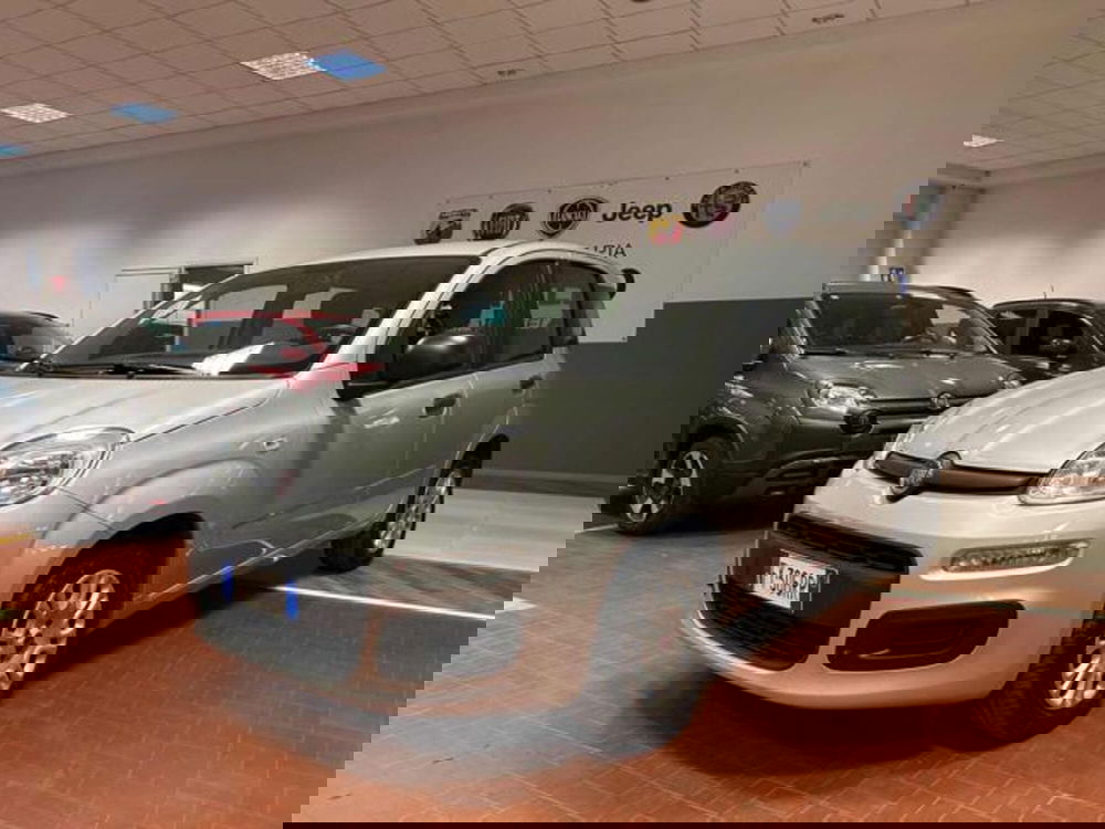 Fiat Panda usata a Vercelli (9)