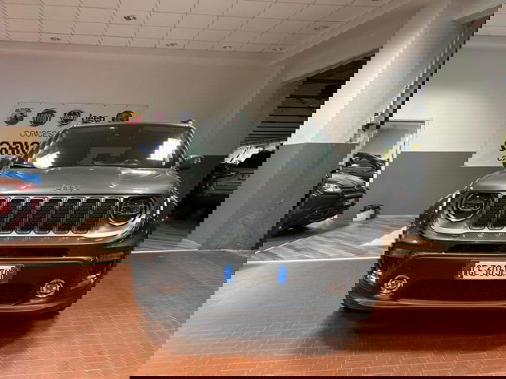 Jeep Renegade usata a Vercelli (2)