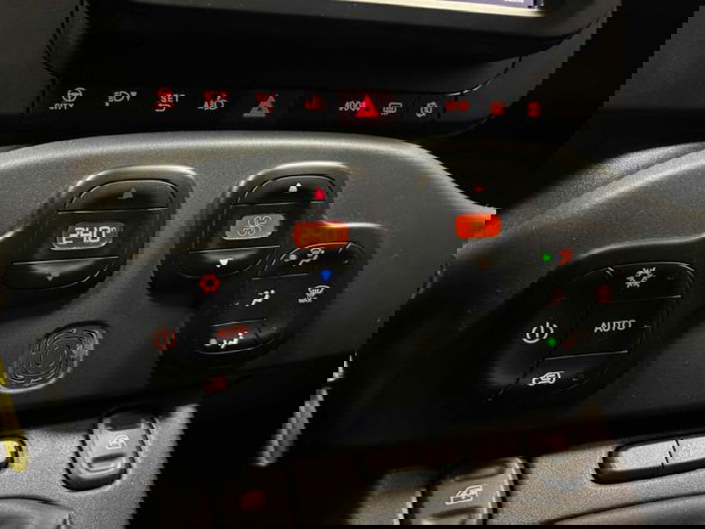 Fiat Panda Cross usata a Vercelli (16)