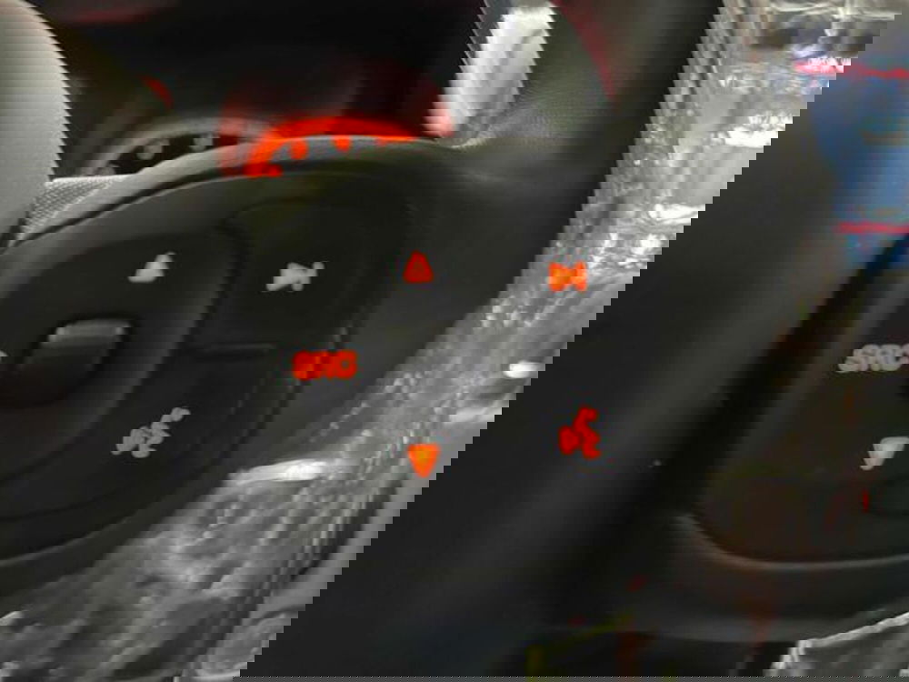 Fiat Panda Cross usata a Vercelli (17)