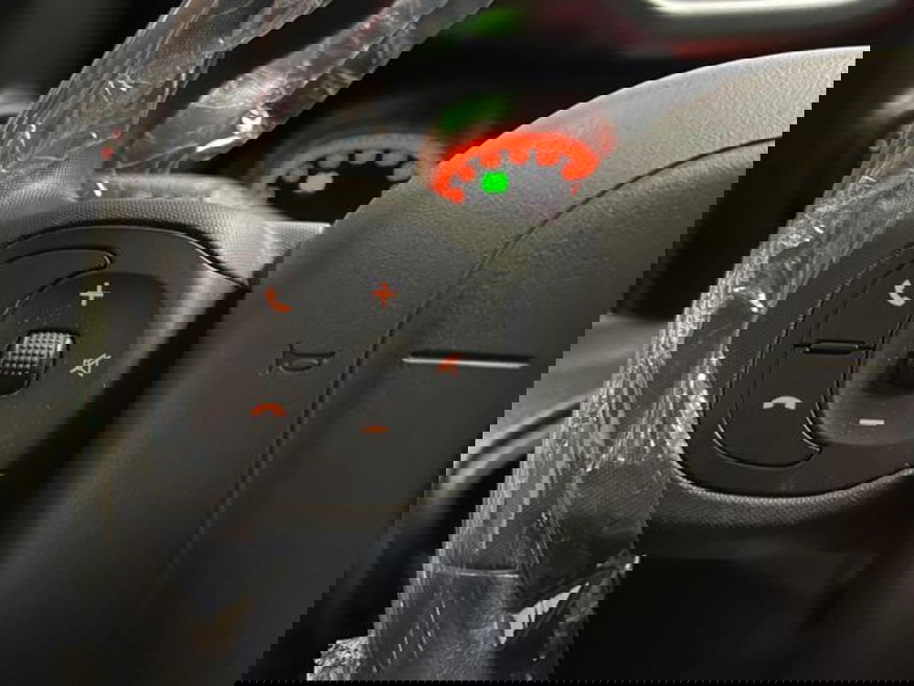 Fiat Panda Cross usata a Vercelli (20)