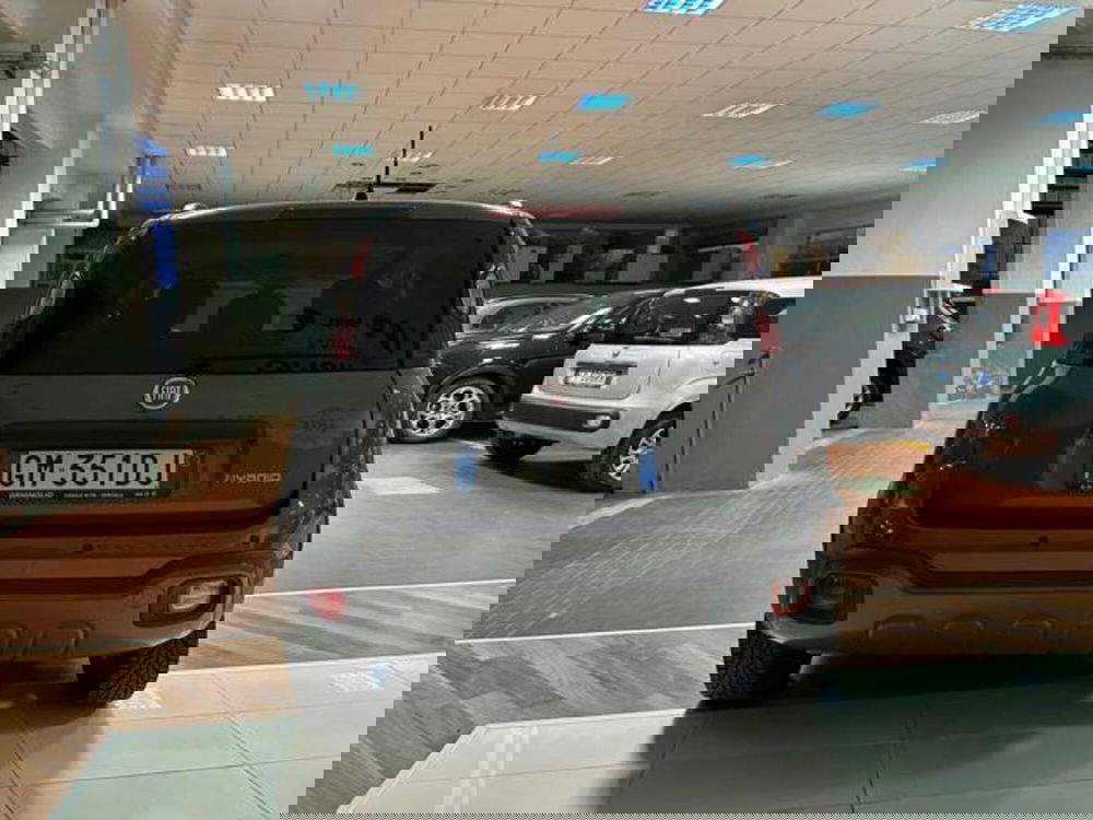 Fiat Panda Cross usata a Vercelli (5)