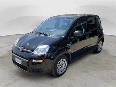 Fiat Panda Cross Cross 1.0 FireFly S&amp;S Hybrid del 2023 usata a Perugia