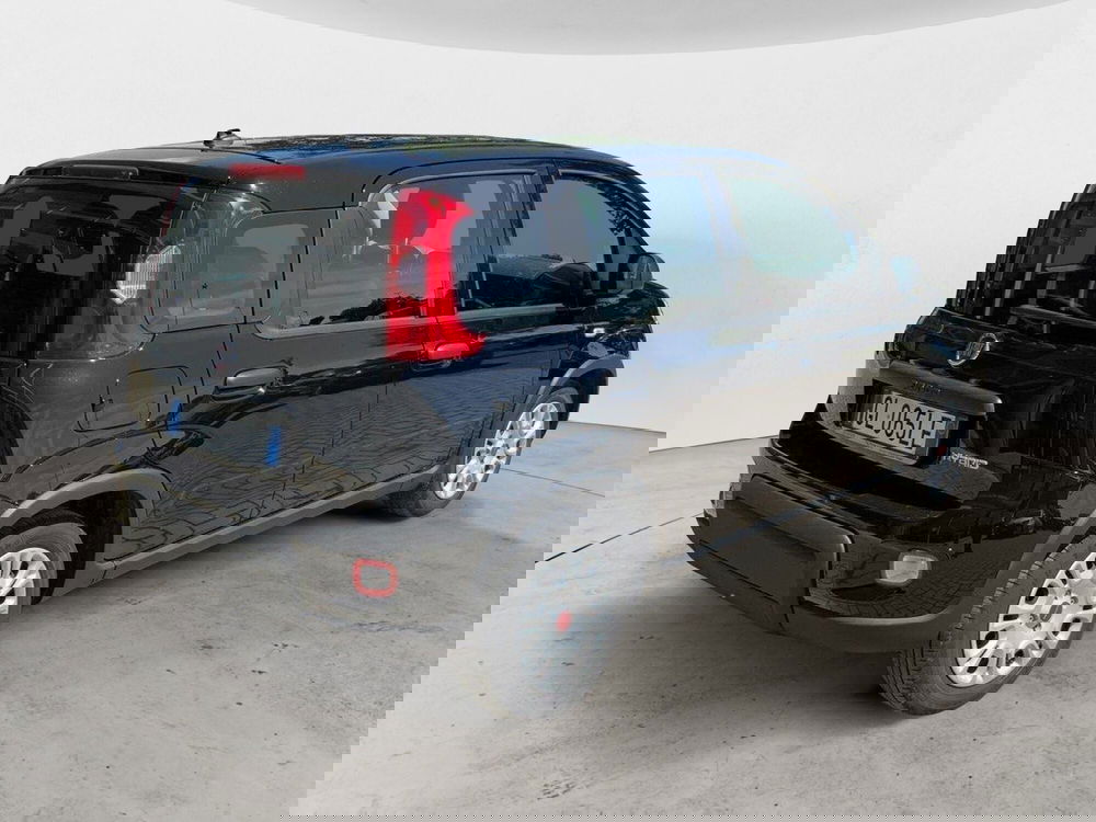 Fiat Panda Cross usata a Perugia (4)