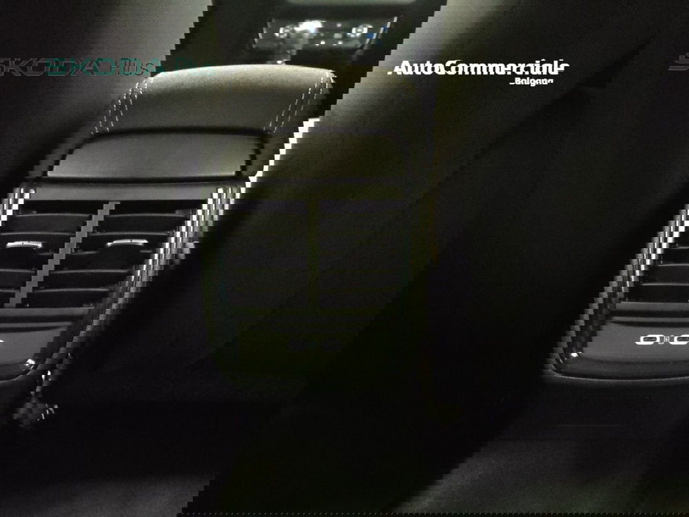 Skoda Kamiq usata a Bologna (15)