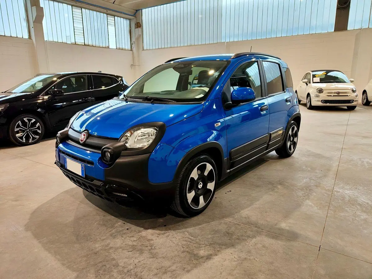 Fiat Panda Cross usata a Torino