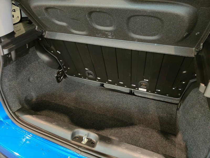 Fiat Panda Cross usata a Torino (11)