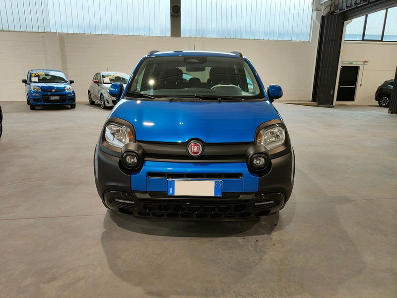 Fiat Panda Cross usata a Torino (2)