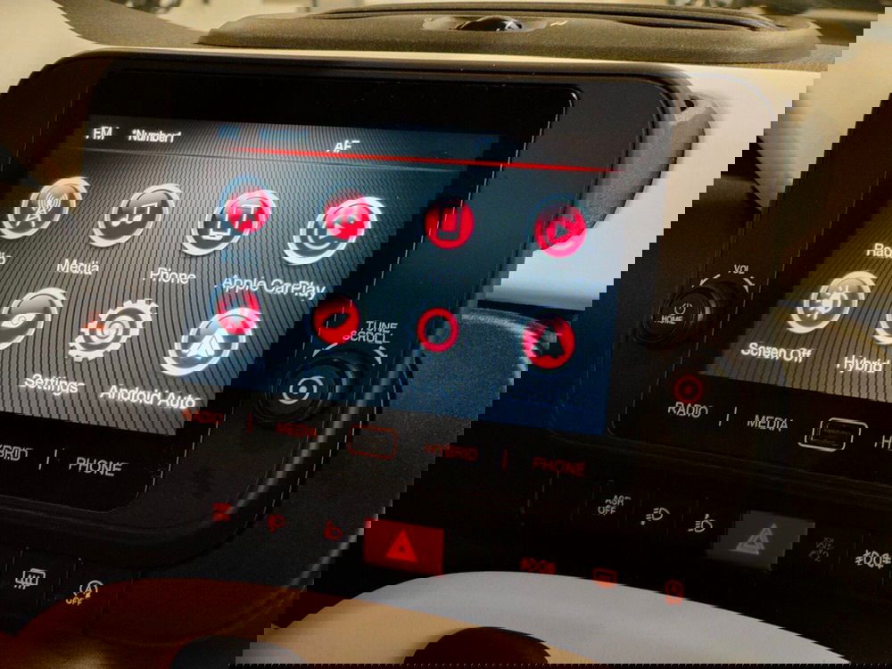 Fiat Panda Cross usata a Torino (20)