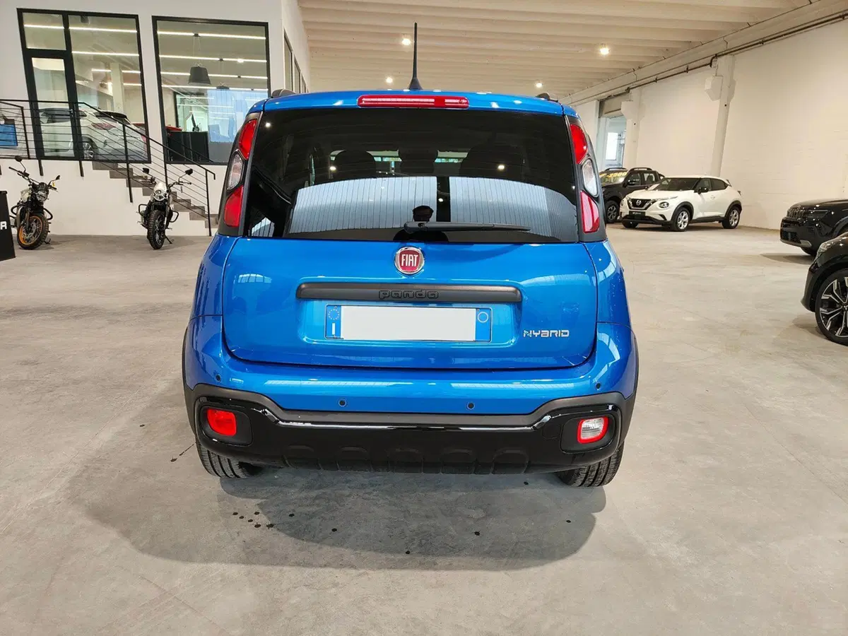 Fiat Panda Cross usata a Torino (6)