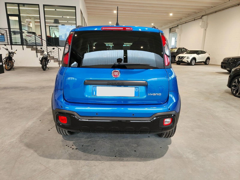 Fiat Panda Cross usata a Torino (6)