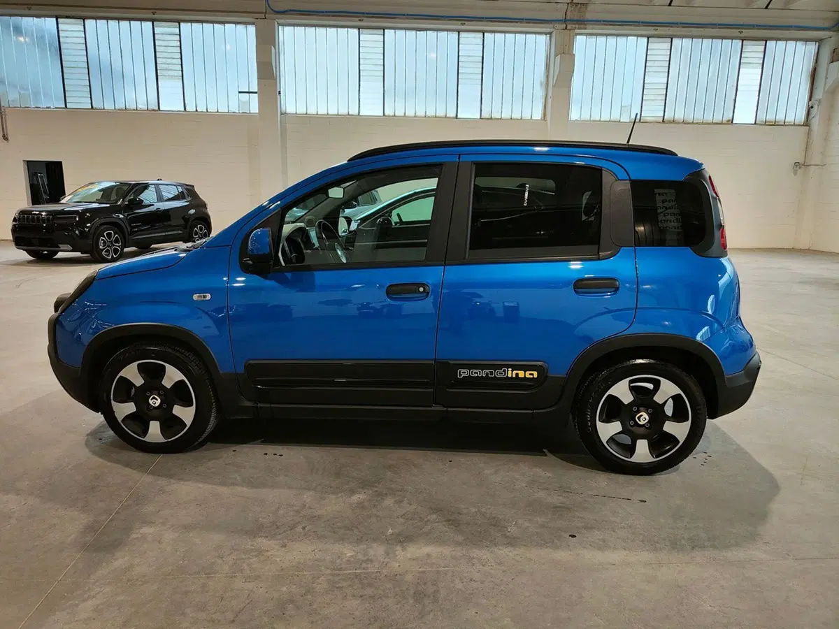 Fiat Panda Cross usata a Torino (8)