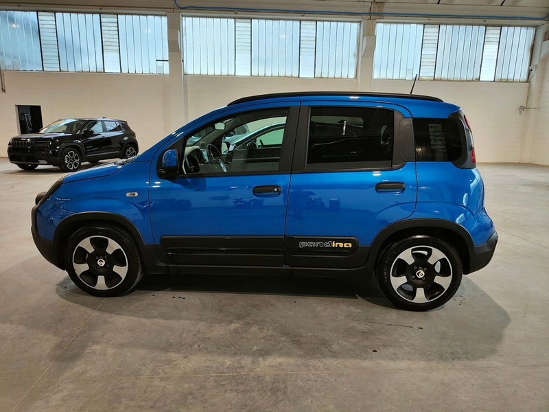 Fiat Panda Cross usata a Torino (8)