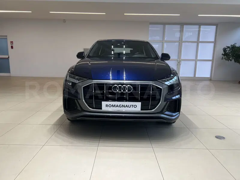Audi Q8 usata a Forlì-Cesena (2)