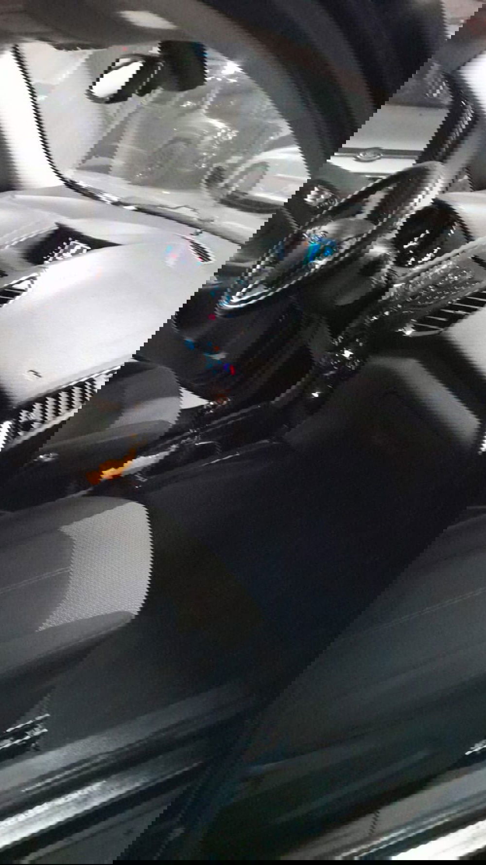 Ford EcoSport usata a Genova (2)