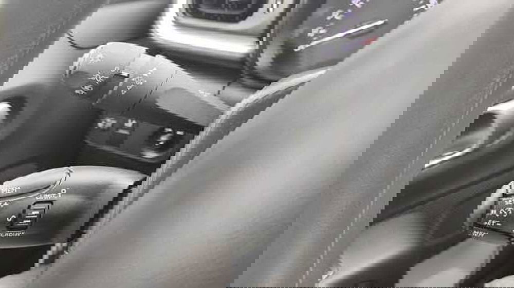 Citroen C3 usata a Firenze (18)