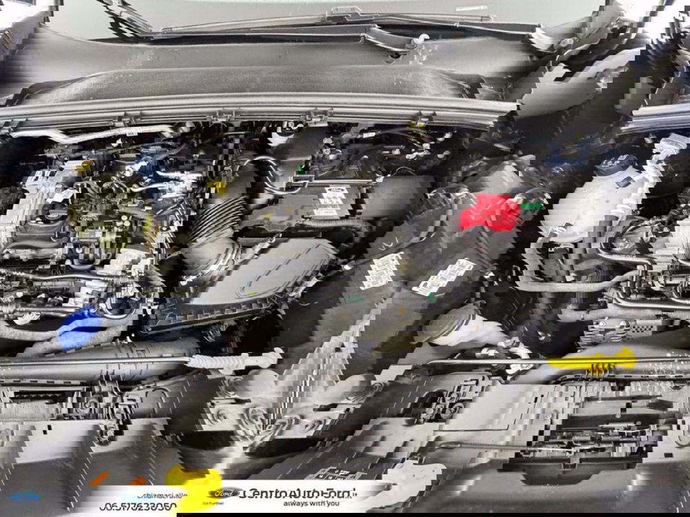 Ford Puma usata a Roma (12)