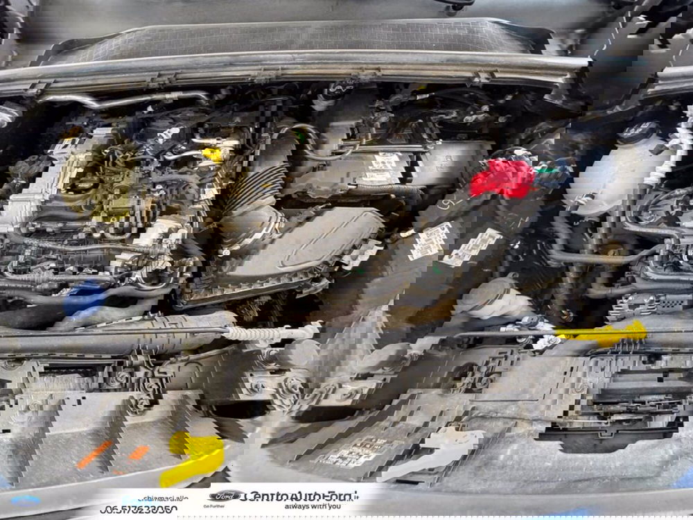 Ford Puma usata a Roma (12)