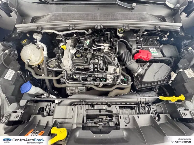 Ford Puma usata a Roma (12)