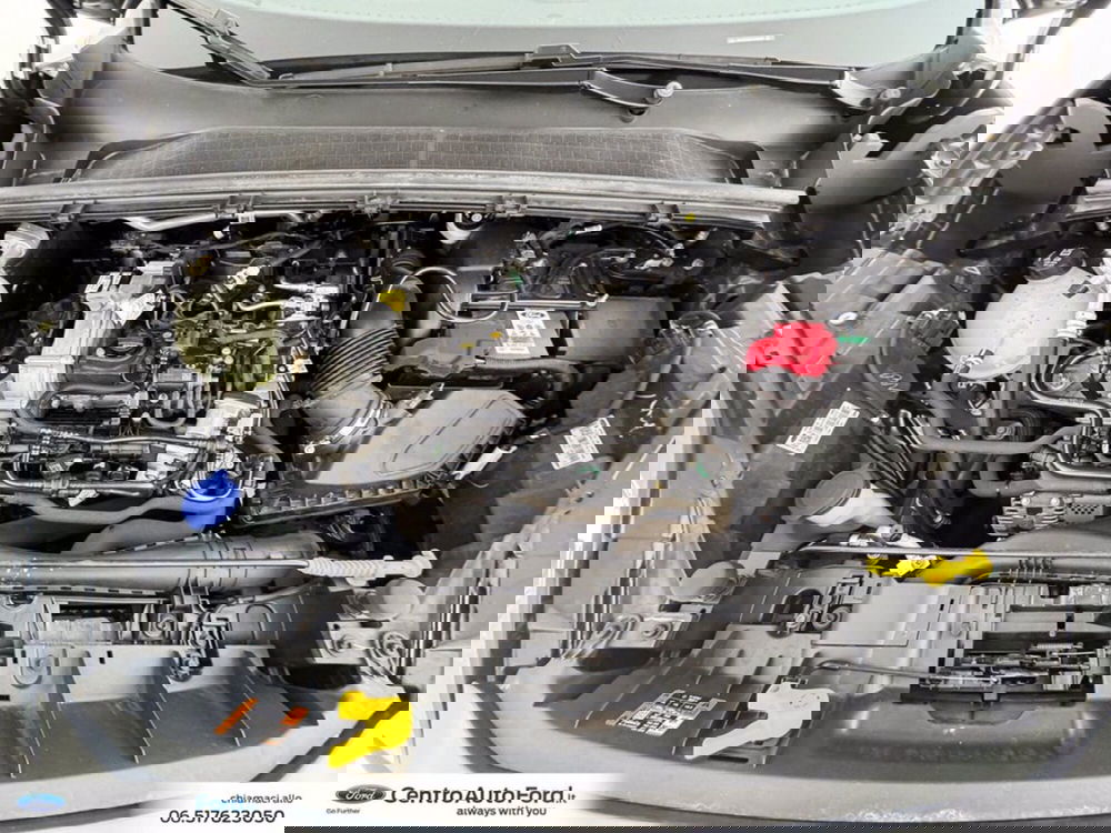 Ford Puma usata a Roma (12)