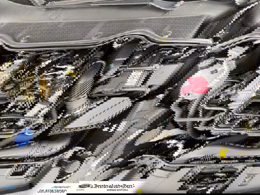 Ford Fiesta usata a Roma (12)